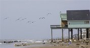 Sea birds fly past a home in an area hit by heavy beach erosion caused by Hurricane Ike in the West End section of Galveston, Texas, Wednesday, Sept. 17, 2008.(AP Photo/LM Otero)